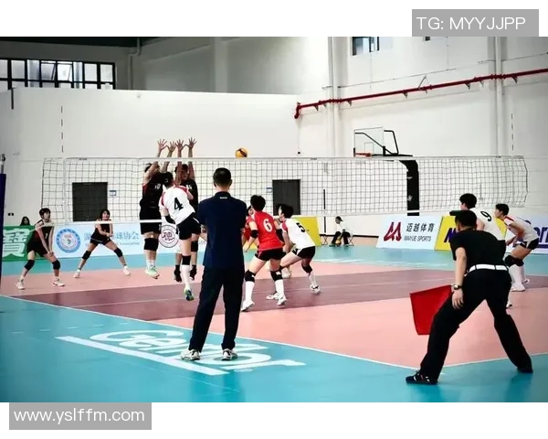 排球热点：解读上海排球队的防反